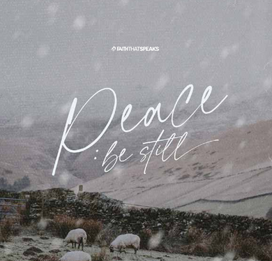 Peace Be Still Bible Study Downloadable Bible Study
