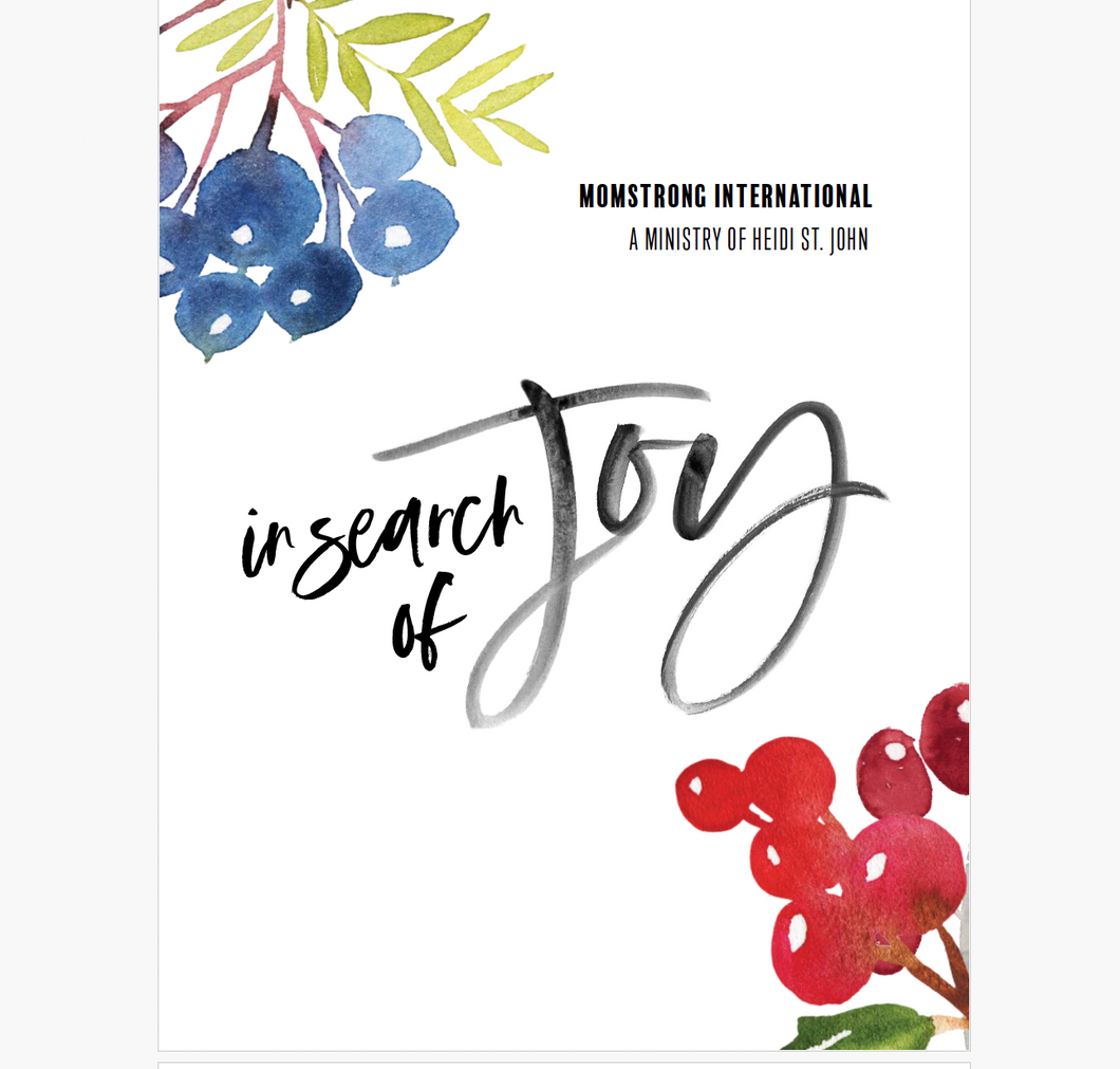 In Search of Joy! Bible Study