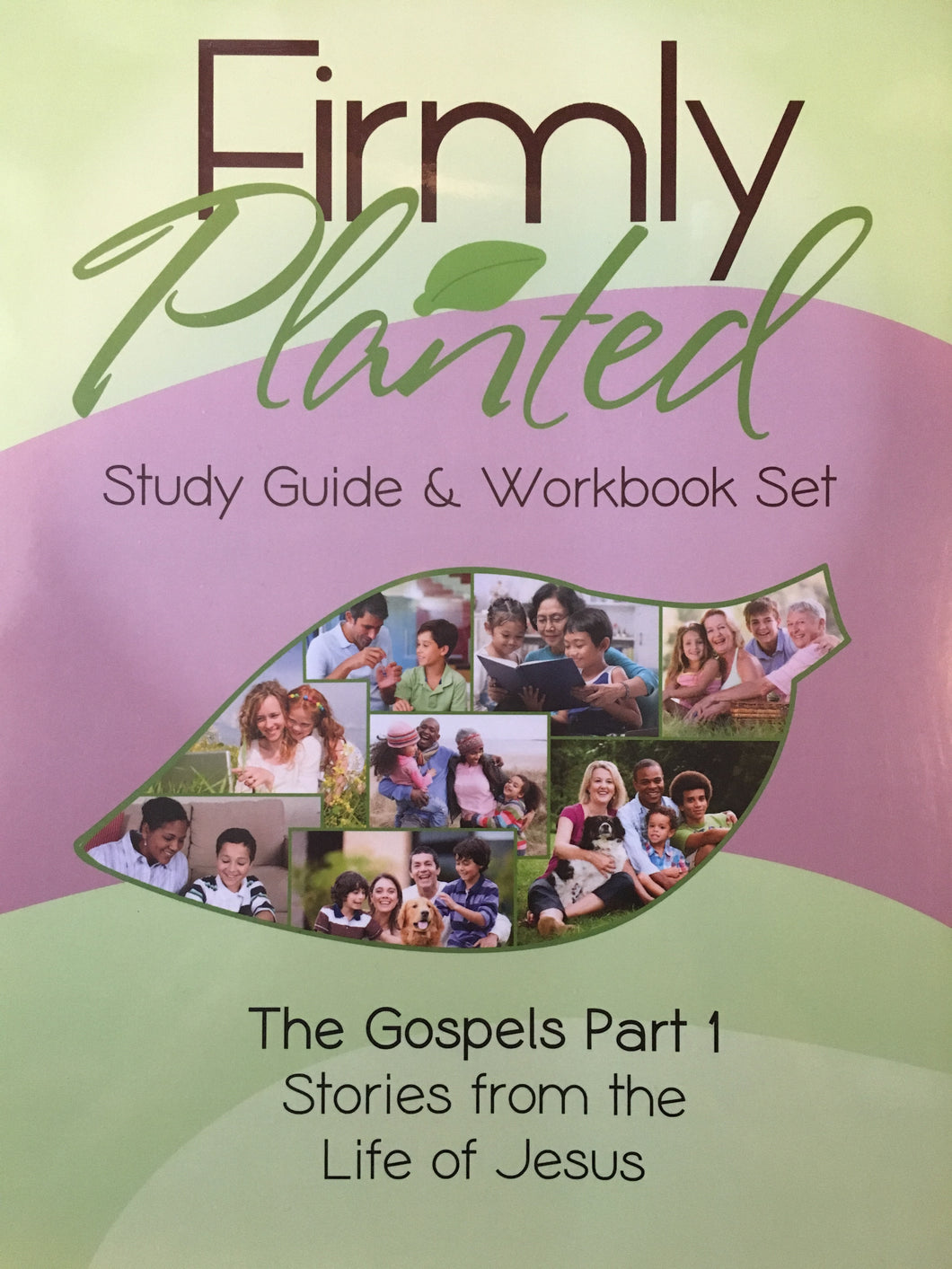 The Gospels Part 1 Set - PDF