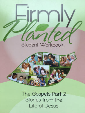 The Gospels Part 2 Set - PDF